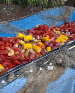 emeril lagasse foundation bbq throwdown